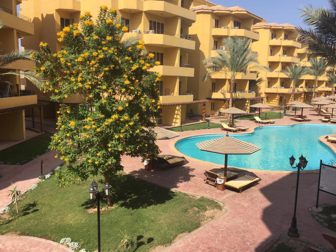 Pool View Apartment At British Resort - Unit 02 洪加達 外观 照片